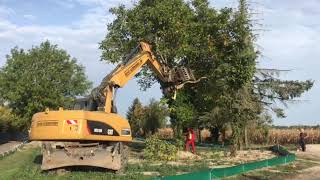 1210 Forst schmieder fällt bäume für eine Gasleitung im dietenbach Wald in Freiburg [upl. by Georgianne]