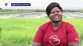 Delivering the Plan Expansion of Mwea Irrigation Scheme Kirinyaga County [upl. by Sol]