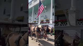 Mackinac Island No cars just bikes amp horses Step back in time 🏝️🚴 MackinacIsland TravelUSA [upl. by Lopez137]