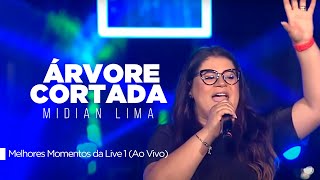 Midian Lima  Árvore Cortada  Melhores Momentos da Live 1 Ao Vivo [upl. by Anyad]