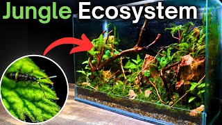 How To Make a Jungle Terrarium  Easy Step by Step Tutorial [upl. by Sigismund]