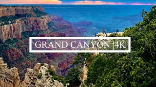 4K Discovering Arizonas Grand Canyon 2024 Adventure [upl. by Llertnahs]