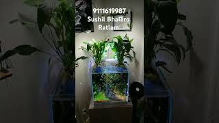 natural panted aqarium viralvideo [upl. by Doubler]