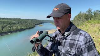 Swarovski Optik 12x42 NL Pure Binocular Review [upl. by Edita]