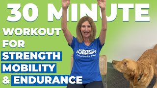 30 Minute Workout for Parkinsons Symptoms  Improve Strength Mobility amp Endurance [upl. by Kristine]