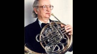 Leopold Mozart Horn Concerto amazing [upl. by Ioves]