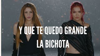 KAROL G Shakira  TQG Karol G amp Shakira  TQG Video Oficial LetraLyrics 1 hora 1 hour [upl. by Aioj]