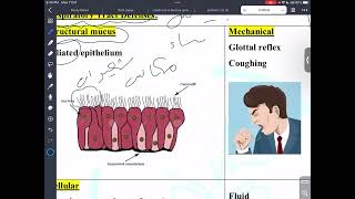 RS microbiology  Influenza Viruses  Mutah [upl. by Akcimahs]