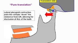 6 Translation and Rotationflv [upl. by Goto]