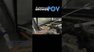 Grower POV Setting Up Drip Irrigation shorts [upl. by Naic]