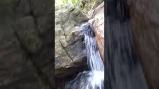 Natural Waterfall visitsrilanka [upl. by Enelad979]