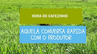 CAPIM ZURI NA VISÃO DO PRODUTOR [upl. by Pinzler]