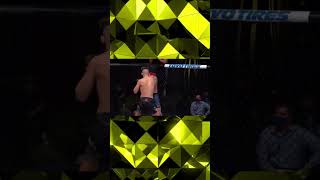 Fastest UFC Finish in History Blink and You’ll Miss It PART 6 [upl. by Carnes570]