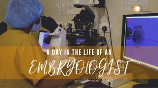 A Day in the Life of an Embryologist [upl. by Hevak]