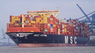 Ultra large containership MSC VICTORINE departs felixstowe for le havre 20924 [upl. by Daniele]