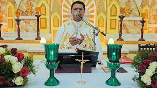 Sunday Holy Mass November 19 I 530 AM I Malayalam I Syro Malabar I Fr Bineesh Augustine [upl. by Akehsar]