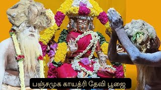 பஞ்சமுக காயத்ரி தேவி பூஜை I மகாதேவமலை [upl. by Htebazileharas249]