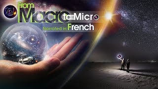 From Macro to Micro French [upl. by Elehcor]