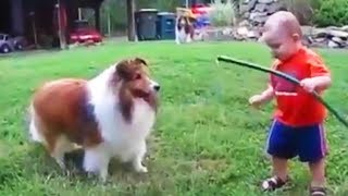 DOGS LOVE BABIES FULL 🐶😛 Cute BABYSITTING Dogs Funny Pets [upl. by Ailadi]