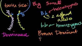 Introduction to Heredity in Bangla [upl. by Purity]