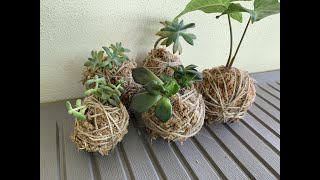 Kokedama for Beginners [upl. by Sean]