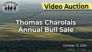 Thomas Charolais Annual Bull Sale [upl. by Salkin]