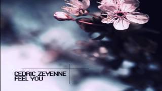 Cedric Zeyenne  Feel You Original Mix [upl. by Nnuahs704]