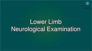 Lower Limb Neurological Examination  Macleods Clinical Examination [upl. by Pelligrini]