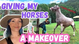 Giving my horses a makeover vlog [upl. by Corri]