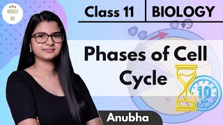 Class 11  Cell Cycle amp Its Phases Under 10 Mins  ⏳  NCERT [upl. by Oninotna]