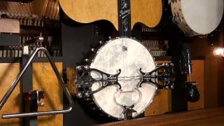 quotSwaneequot performed by the BanjoOrchestra [upl. by Cire]