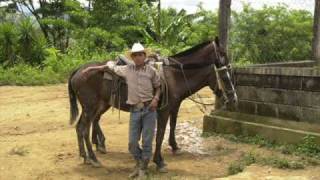 Charanga campesina Calixto Ochoa  version original [upl. by Enyrhtac]