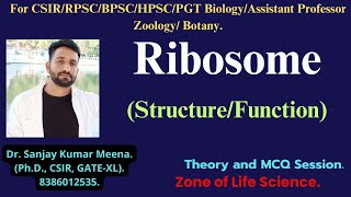 RIBOSOME StructureFunction CSIRGATEBSCMSC RPSCMPPSCHPSCBPSC PGT BIOLOGY ZOOLOGYBOTANY [upl. by Boulanger]