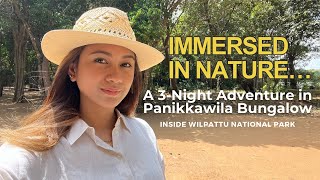 We stayed inside Wilpattu National Park for 3 nights Panikkawila Bungalow Wildlife Adventure [upl. by Attennot]