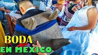 BODA MEXICANA TRADICIONAL QUE NO DEBES DEJAR DE VER [upl. by Lehteb]