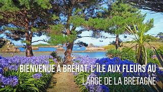 Bréhat l’ile aux fleurs de Bretagne – Incontournable 47 [upl. by Anauj449]