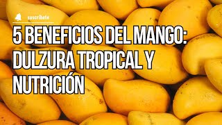 5 Beneficios del Mango Dulzura Tropical y Nutrición [upl. by Richer835]