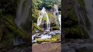 Panther Creek Falls [upl. by Binny320]