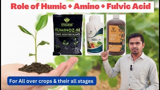 The Importance of Humic Acid Amino Acid and Fulvic Acid in Crop Growth and Yield  aasankheti [upl. by Florri]