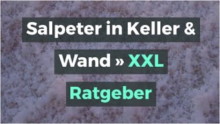 Salpeter in Keller amp Wand » XXL Ratgeber [upl. by Krakow]