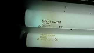 Świetlówki Osram 40W  fluorescent tubes T12 40W [upl. by Ingeberg]