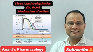 Class I Antiarrhythmics Use dependent blockadeIa Ib Ic [upl. by Iroj633]