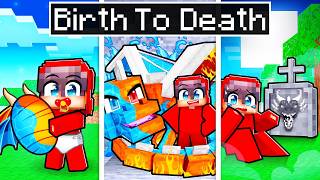 BIRTH TO DEATH of an ELEMENTAL DRAGON in Minecraft [upl. by Akimahc]