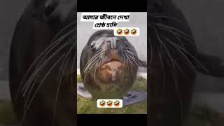 এই নাও একটা মাছ খাও shortvideos shortsnaturefishing funnyvideo [upl. by Searcy]