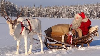 Les meilleurs messages du Père Noël aux enfants 😍🎅 vidéo Papa Noël à Rovaniemi en Laponie Finlande [upl. by Nettie]