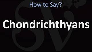 How to Pronounce Ornithorhynchus [upl. by Siron]