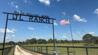 Longhorn Lesters is live at JL Ranch [upl. by Plossl263]