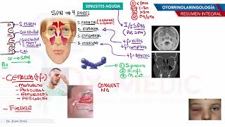 Gastroenterología  Hepatitis [upl. by Towney]