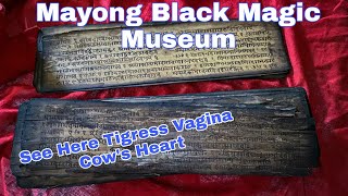 Mayong Black Magic Museum  Mayong Village Museum And Research Center [upl. by Chappie]