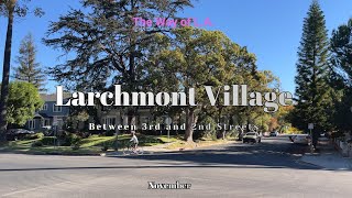 Larchmont Village  Between 2nd and 3rd Steet 4k 60FPS [upl. by Curtice]